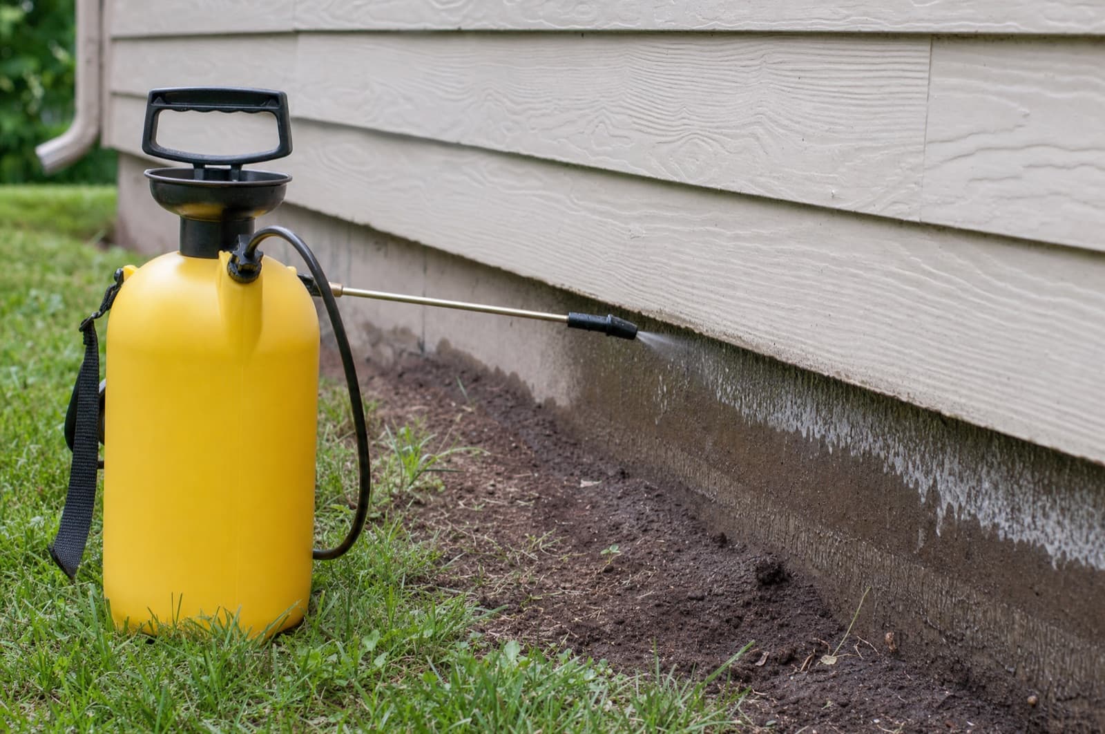 Barrier & Perimeter Sprays / Concentrates application — Home Defense Insect Killer for Indoor & Perimeter by Ortho
