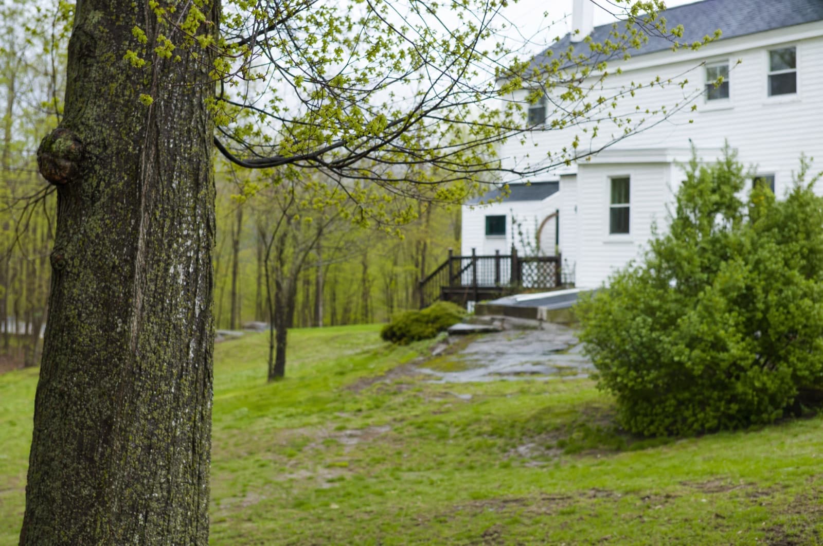 April in a New Hampshire yard