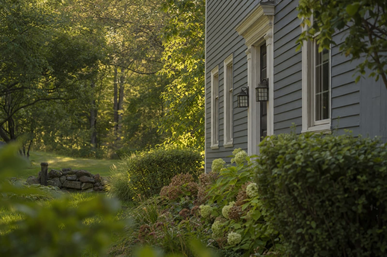 August in a New Hampshire yard