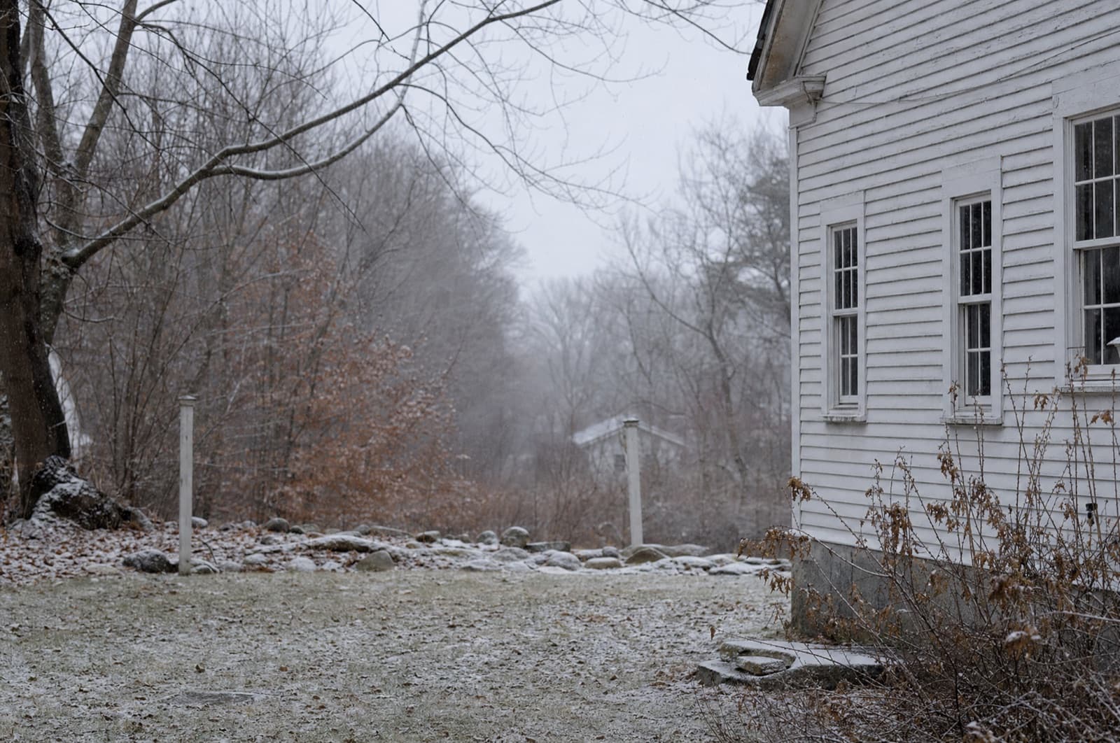 December in a New Hampshire yard