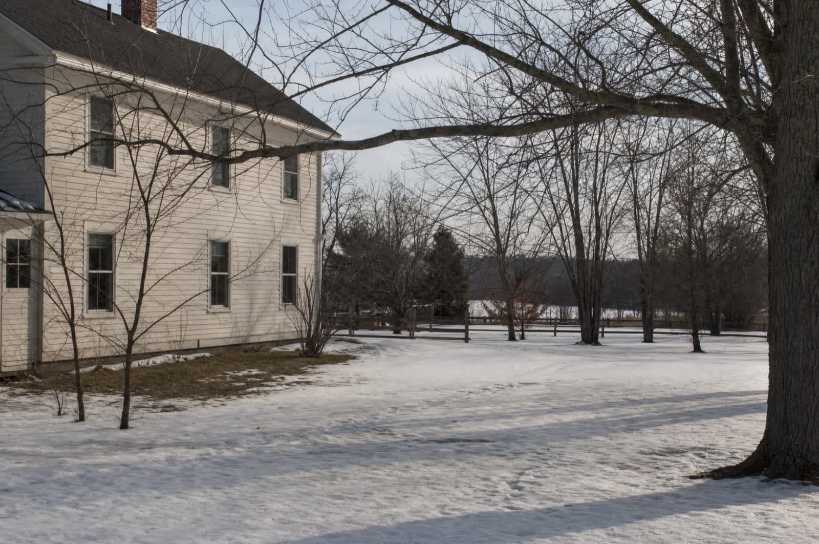 February in a New Hampshire yard