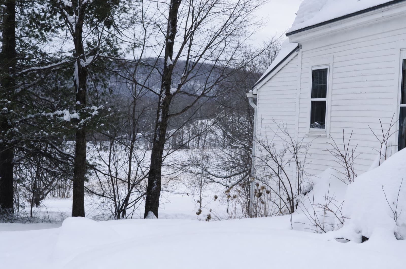 January in a New Hampshire yard
