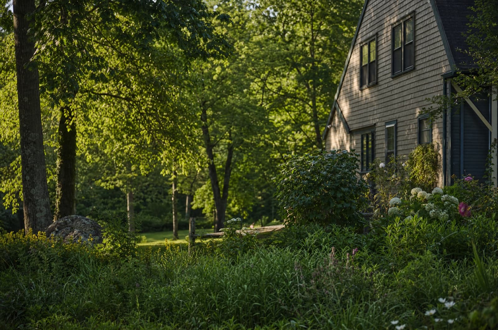 July in a New Hampshire yard