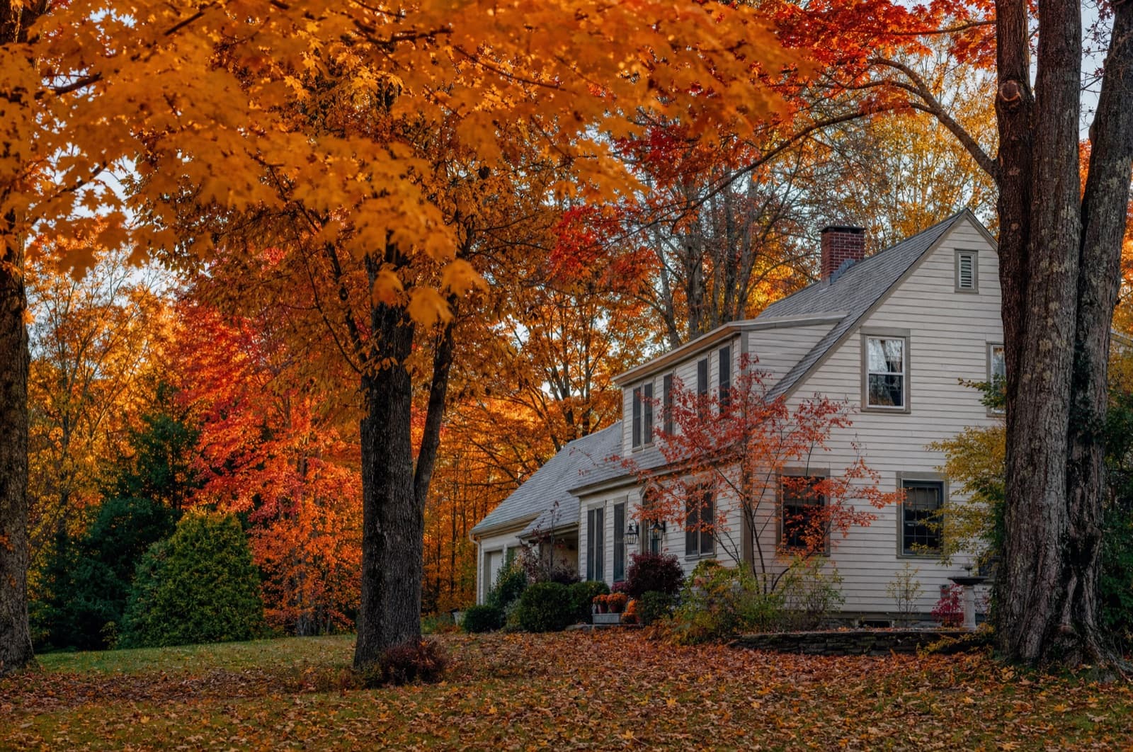 October in a New Hampshire yard