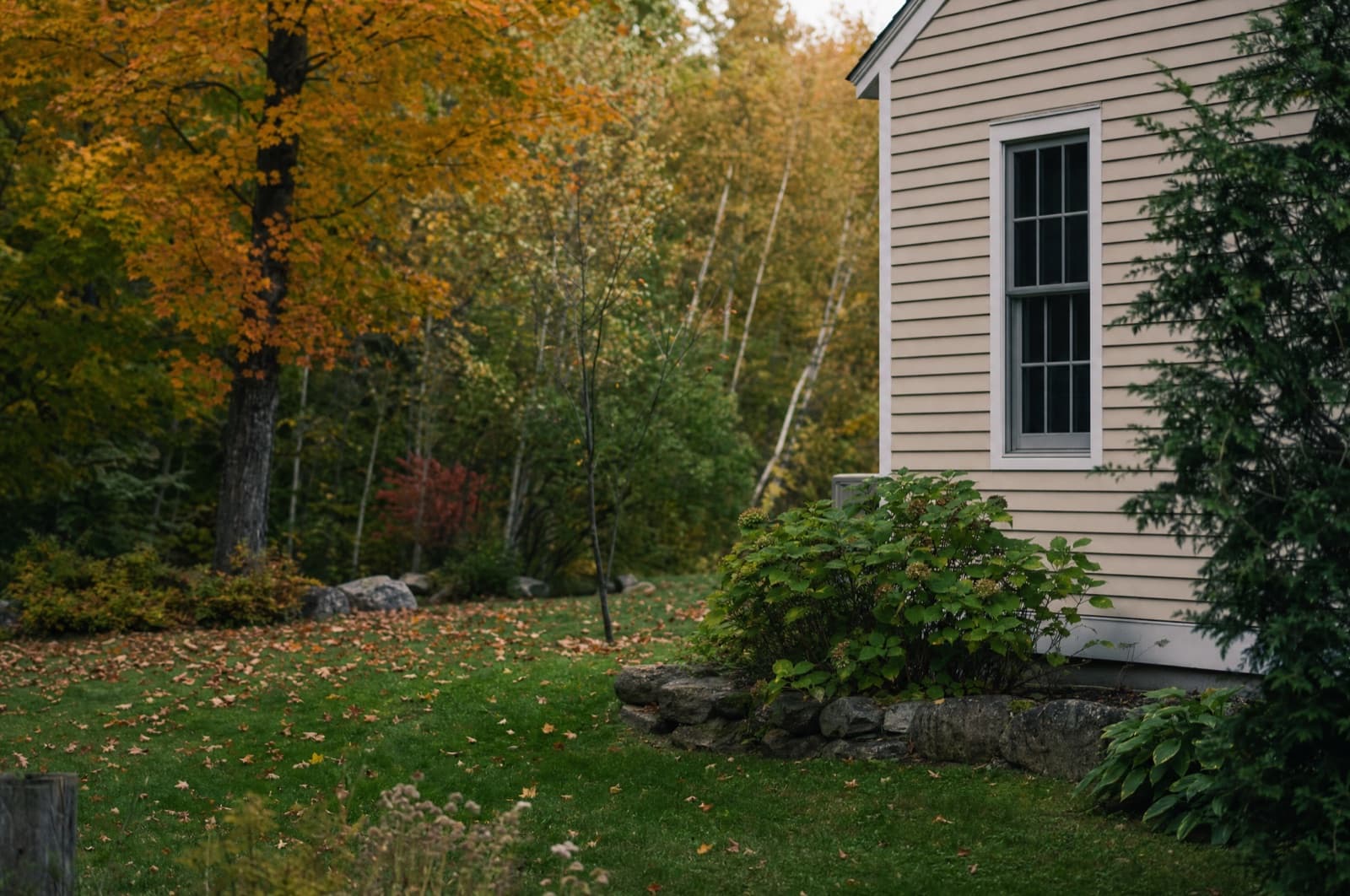 September in a New Hampshire yard