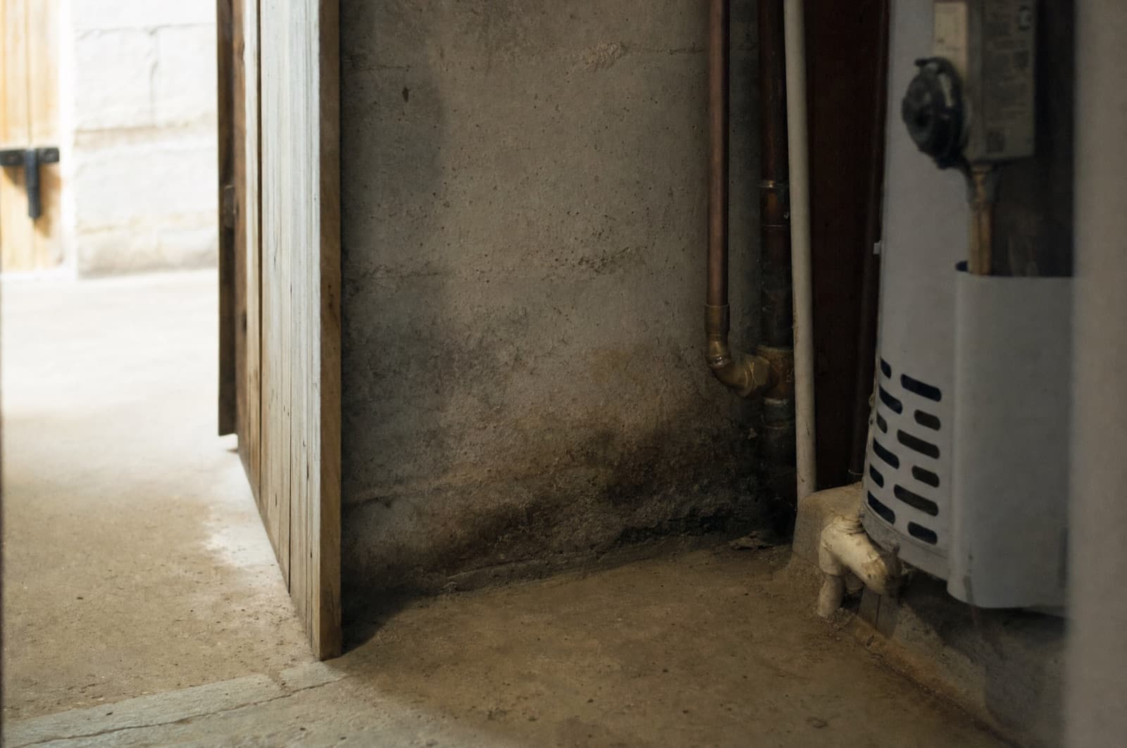 Ammonia / urine smell — likely source