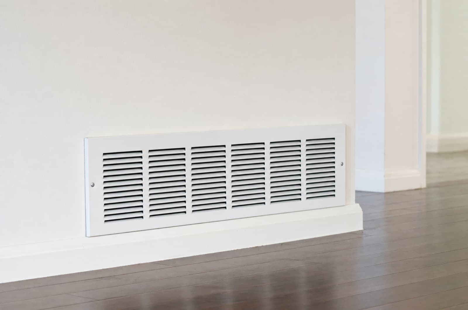 Dead-animal / decay smell — likely source