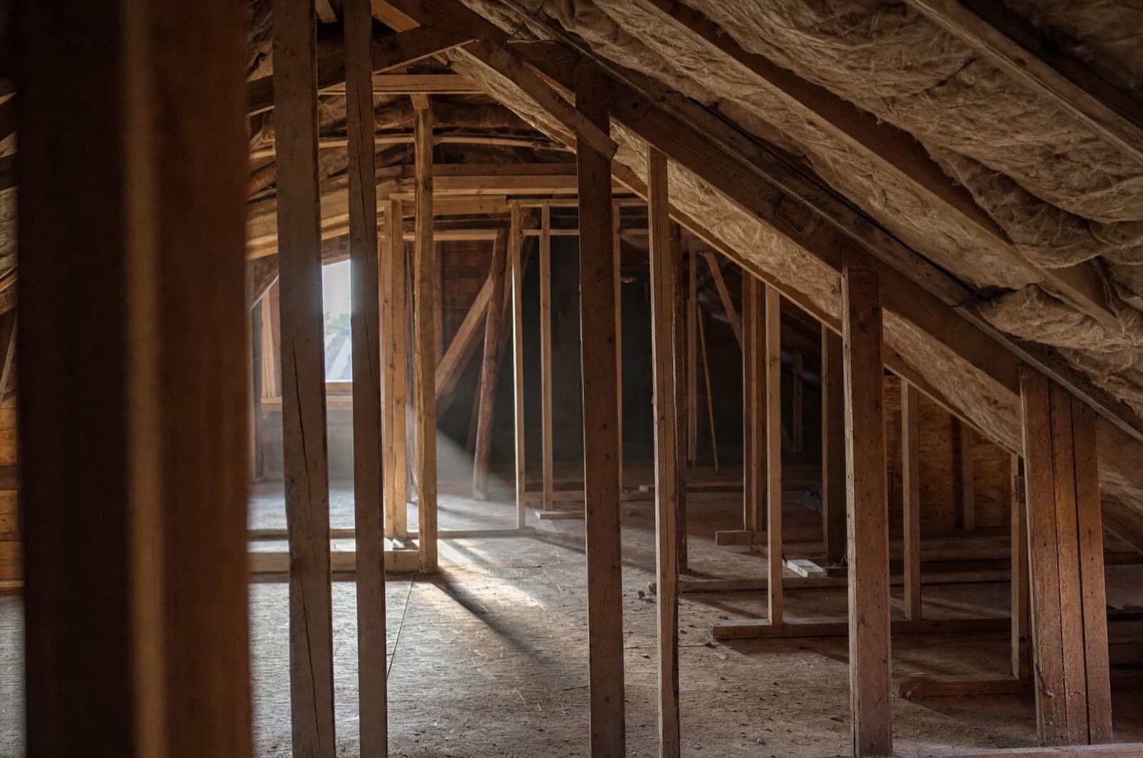 Attic — likely source
