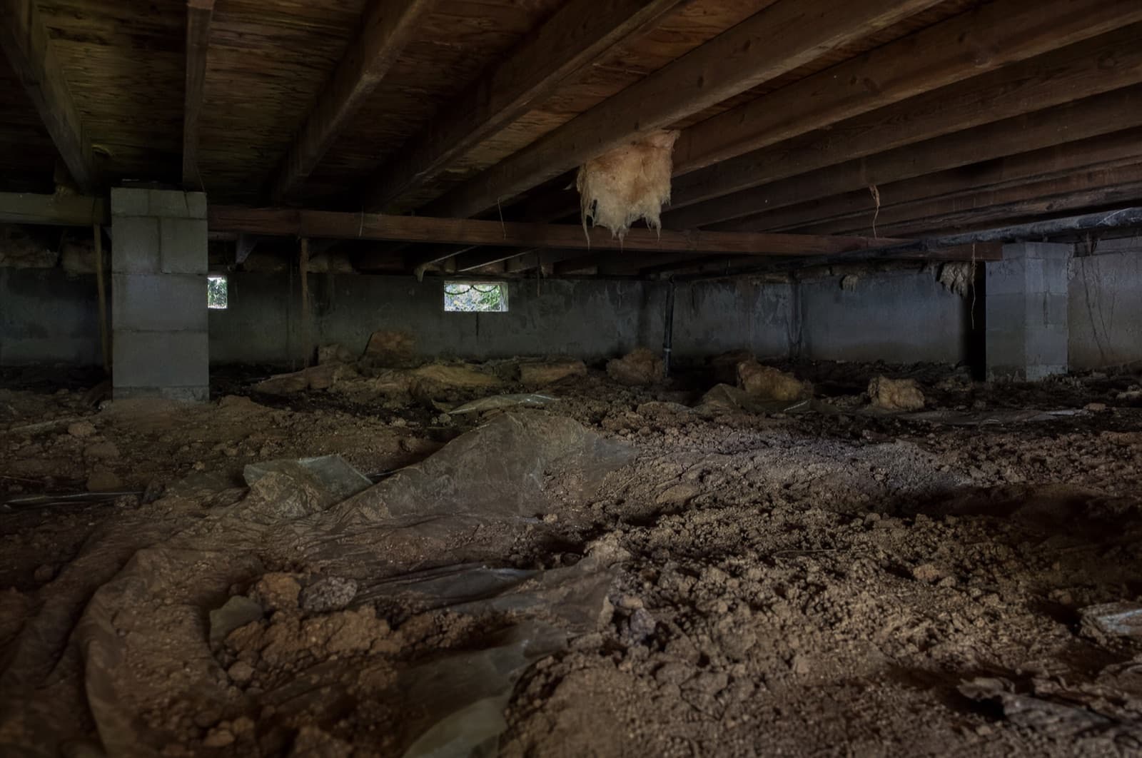 Crawl space — likely source