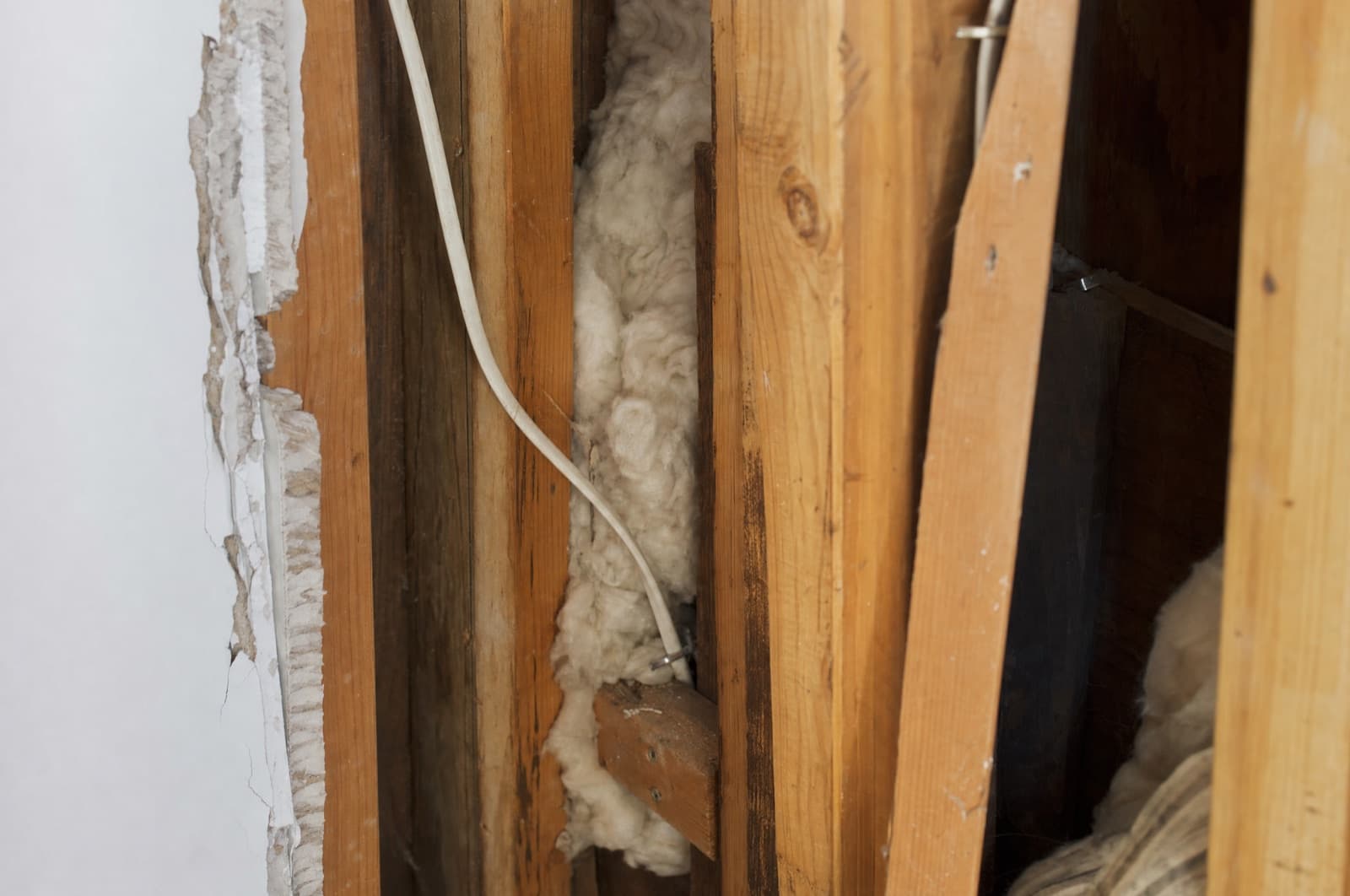 Walls / ceiling void — likely source