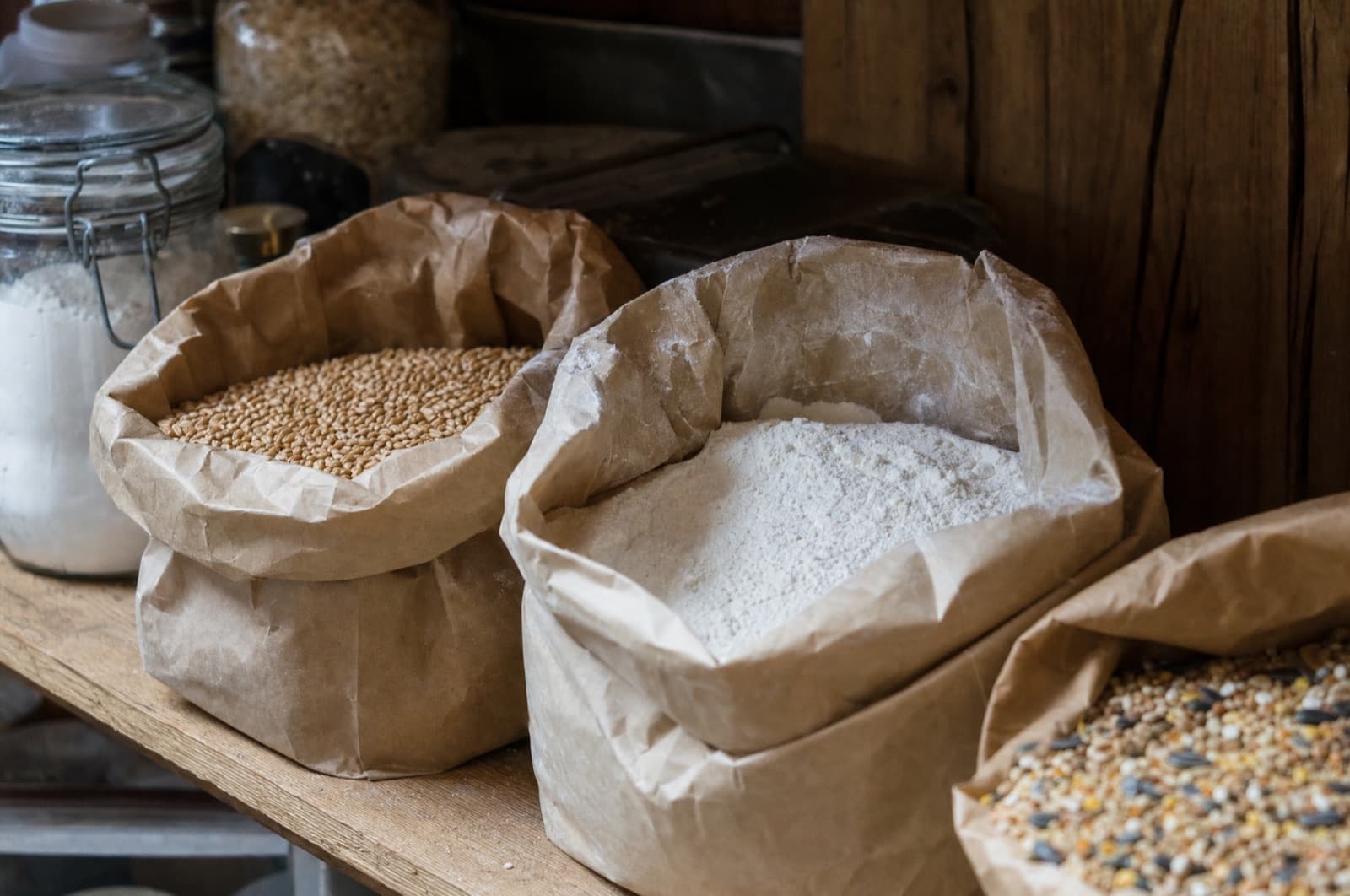 Warm, damp, dark grain and flour storage — the condition behind mite pressure