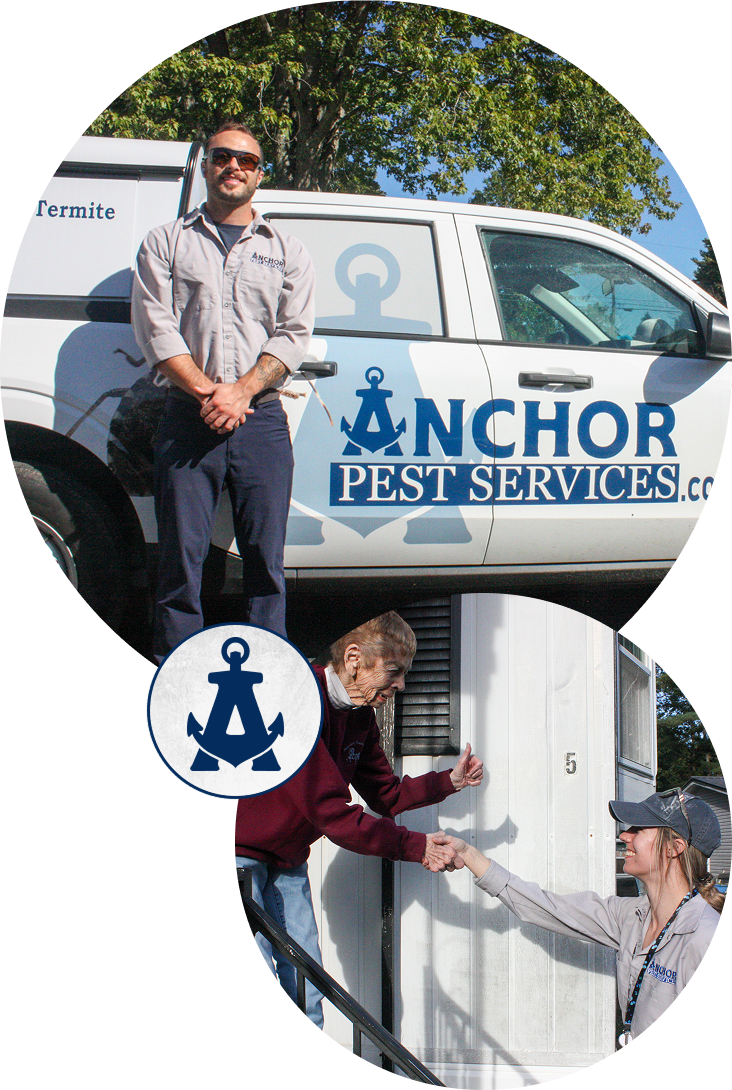 The Anchor Pest Services team — a licensed New Hampshire technician with the company van and serving a local customer