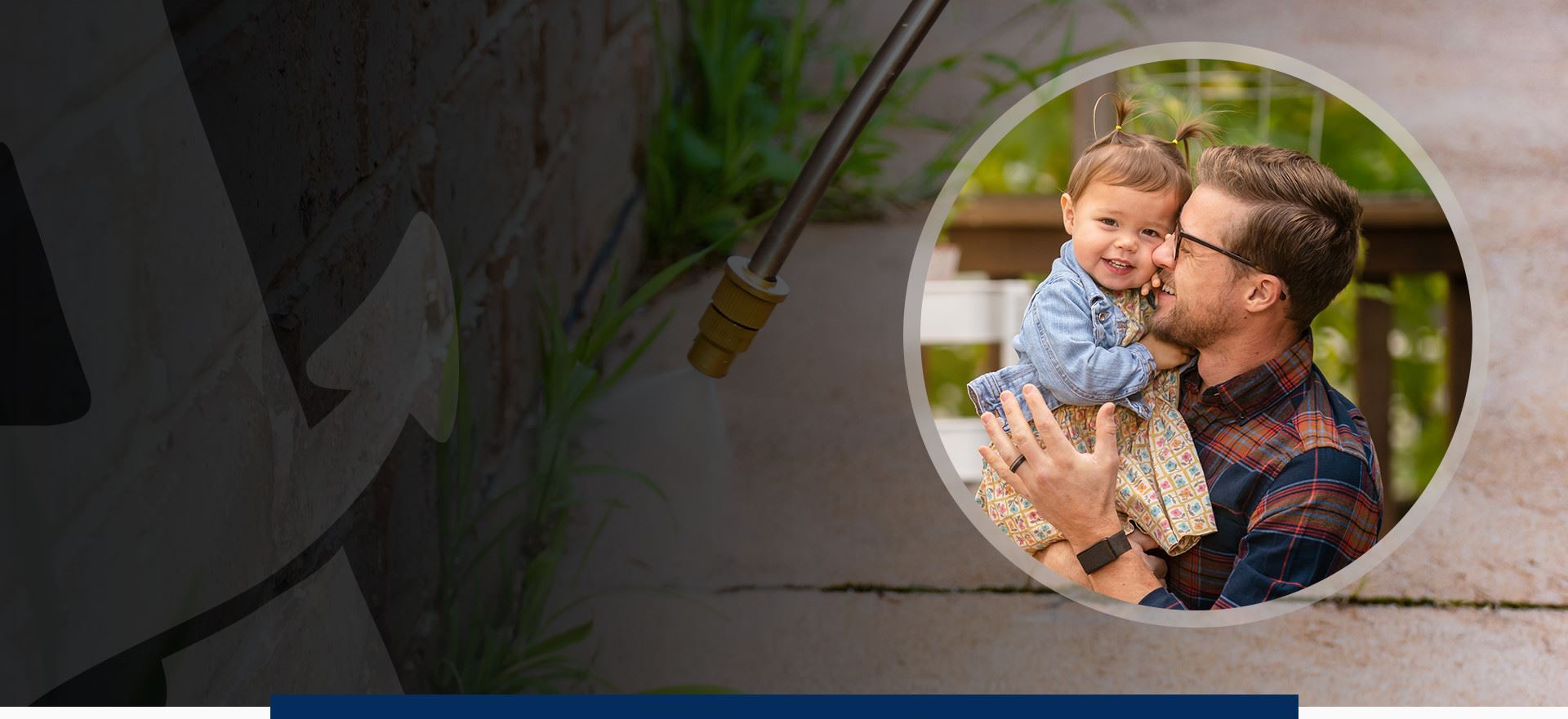 anchor pest control header background