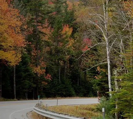 Anchor Pest Services photo 3