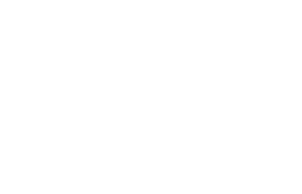 Anchor Pest Services anchor emblem